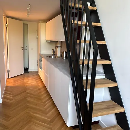 Apartment M Loft2 - Center With Gated Free Parking Kaunas
